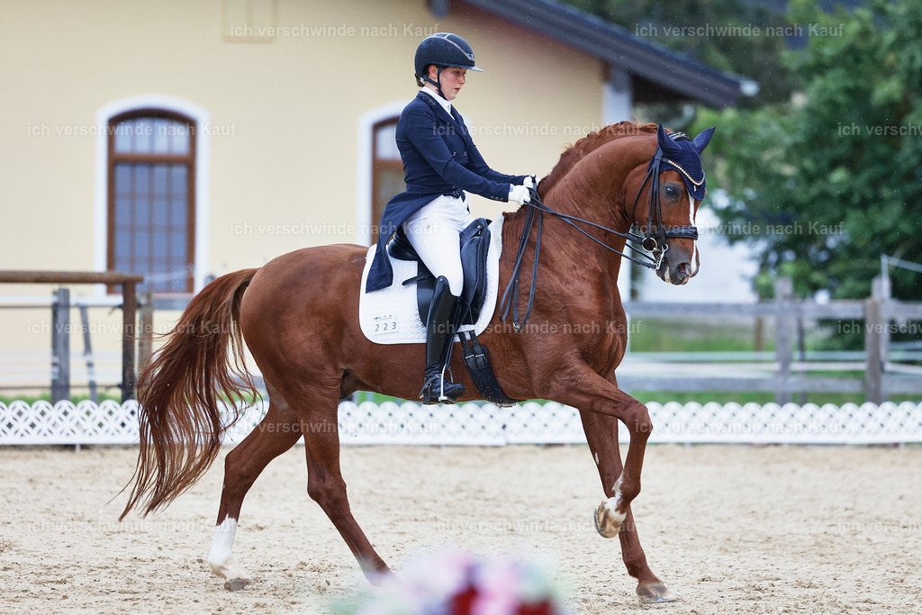 8_1-223-Klasse S_  -StoibPH-3954 | working equitationturnier fotograf videograf stoibphotography marixx film working equitation deutschland reitsport turnierfotografie eventfotografie equestrian events