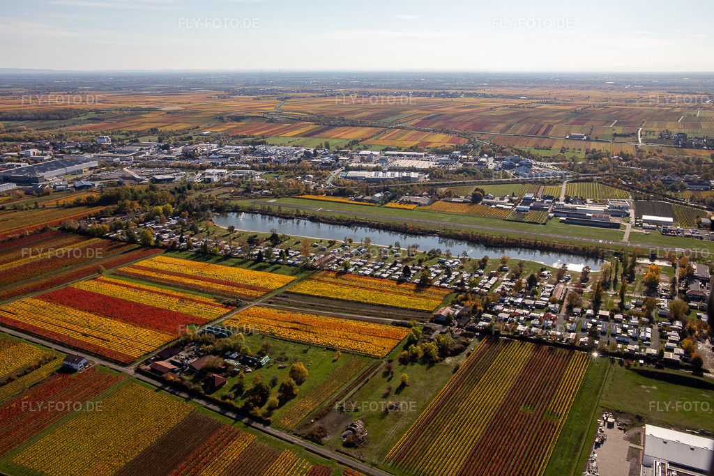 Luftbild: Herbstliche verfärbte Vegetationsansicht Start- und Landebahn mit Rollfeldgelände des Flugplatz der Flugplatz Bad Dürkheim beim Knaus Campingpark und Almensee im Ortsteil Ungstein in Bad Dürkheim im Bundesland Rheinland-Pfalz in Deutschland. Foto: IMG_123688.jpg vom 31.10.2020 durch Werner Riehm/FLY-FOTO.de