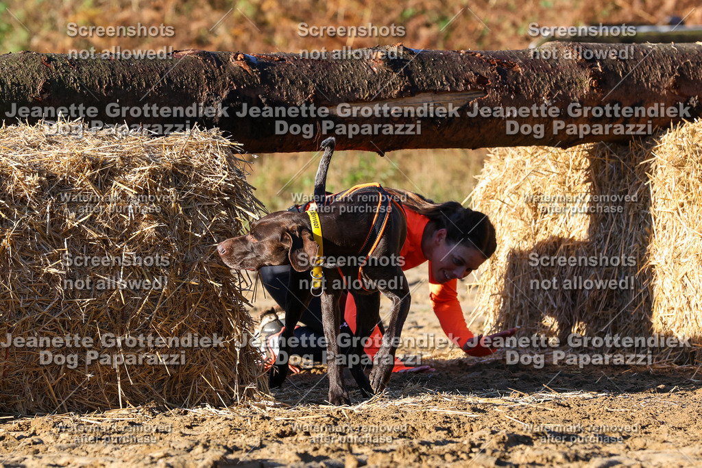 Dog Paparazzi - Strongdog 10-25-1187 | Dog Paparazzi Jeanette Grottendiek Fotografie & Videografie - Realisiert mit Pictrs.com
