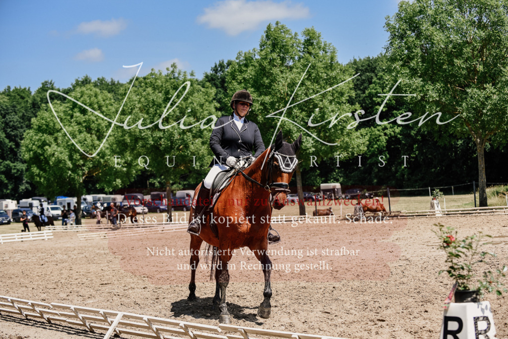 DSC_2016 | Pferde- und Turnierfotografie in Westsachsen. Pferdeportraits, Auftragszeichnungen und intuitive Kunst.