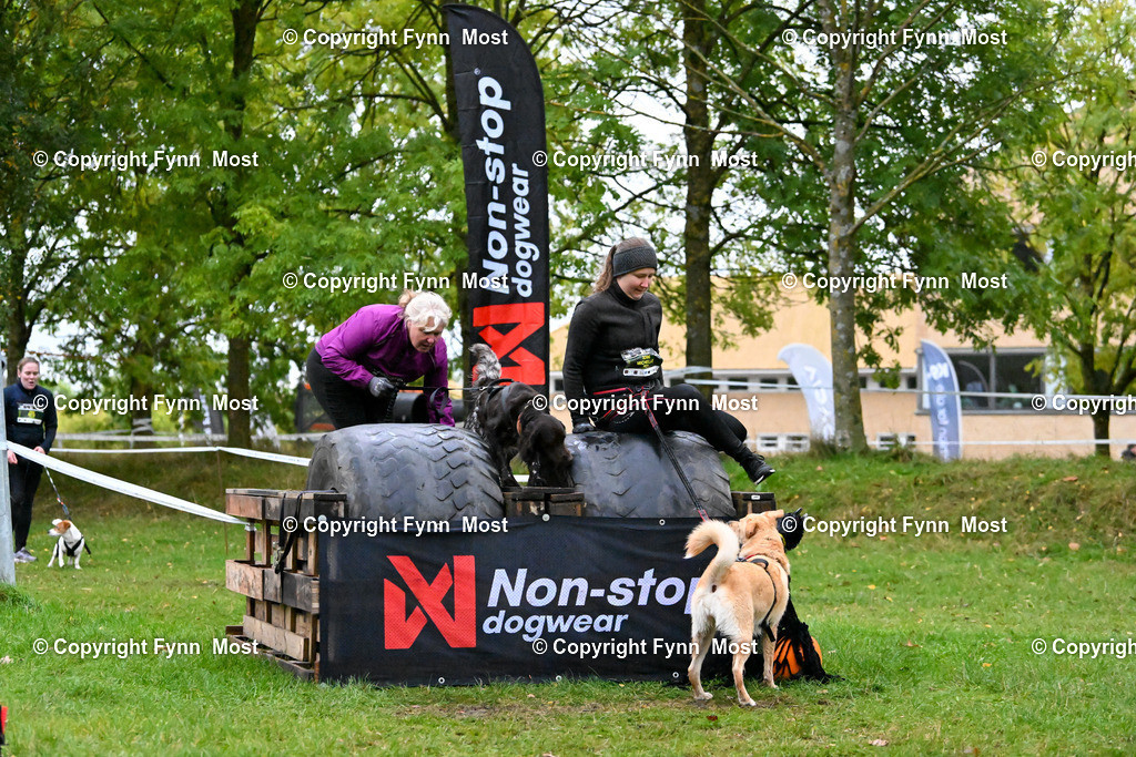 DSC_3099 | Hallo und herzlich Willkommen auf meiner Shop-Seite Fynn Most.

Ich wünsche Dir viel Spaß beim stöbern durch die Bilder, wenn Du Fragen hast oder Bilder vermisst, kannst du mir gerne eine Nachricht schreiben. - Realisiert mit Pictrs.com
