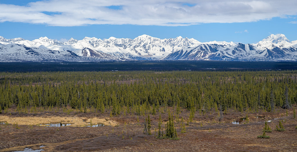 Alaska | Denali Highway - Realisiert mit Pictrs.com