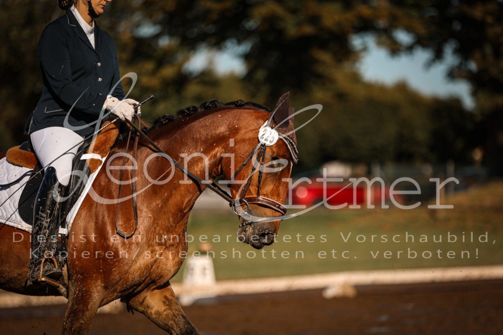 13.SoDrA100254 | Leoni Ertmer Photography - Realisiert mit Pictrs.com