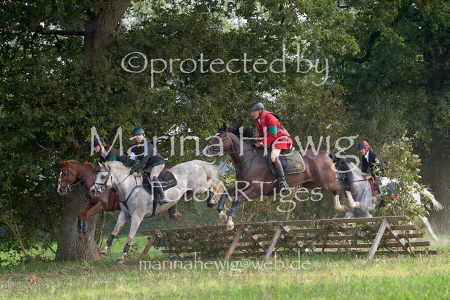 09-23 Jagd Perdöl_MCH9884_Marina Hewig | Fotografie, FotoArt, PferdesportArt, Pferdesportfotografie, Landschaftsfotografie, Reisefotografie, Reise, Pferde - Realisiert mit Pictrs.com