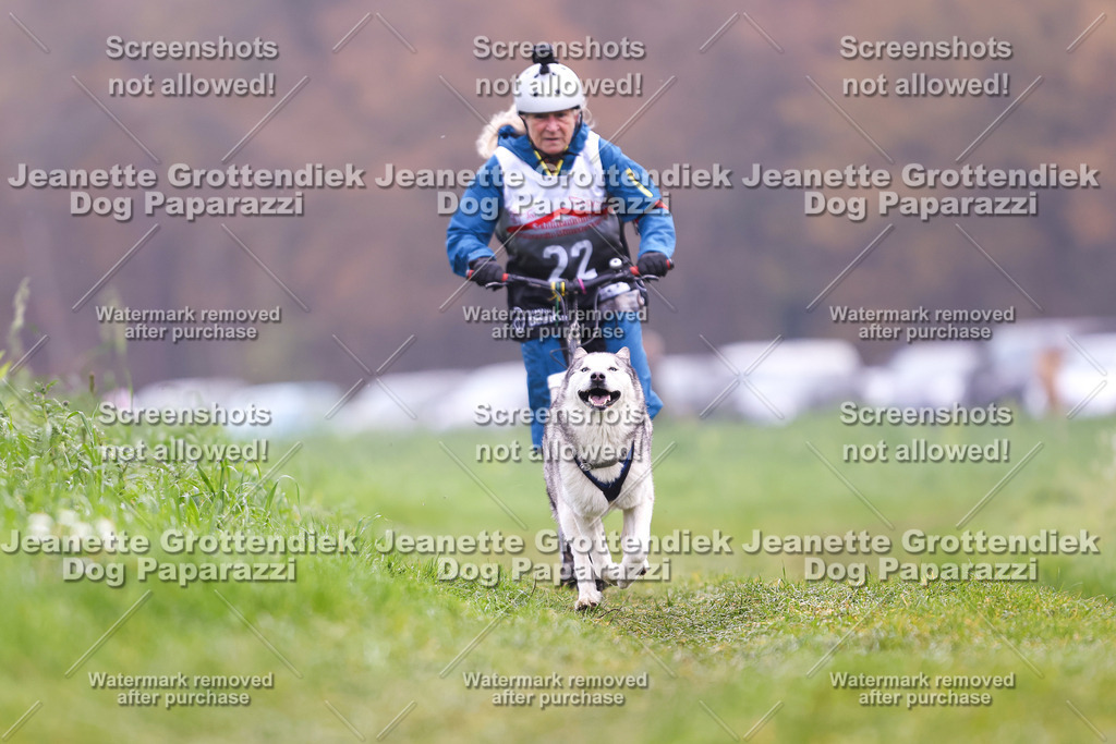 Dog Paparazzi - Visbeck 25 -318 | Dog Paparazzi Jeanette Grottendiek Fotografie & Videografie - Realisiert mit Pictrs.com