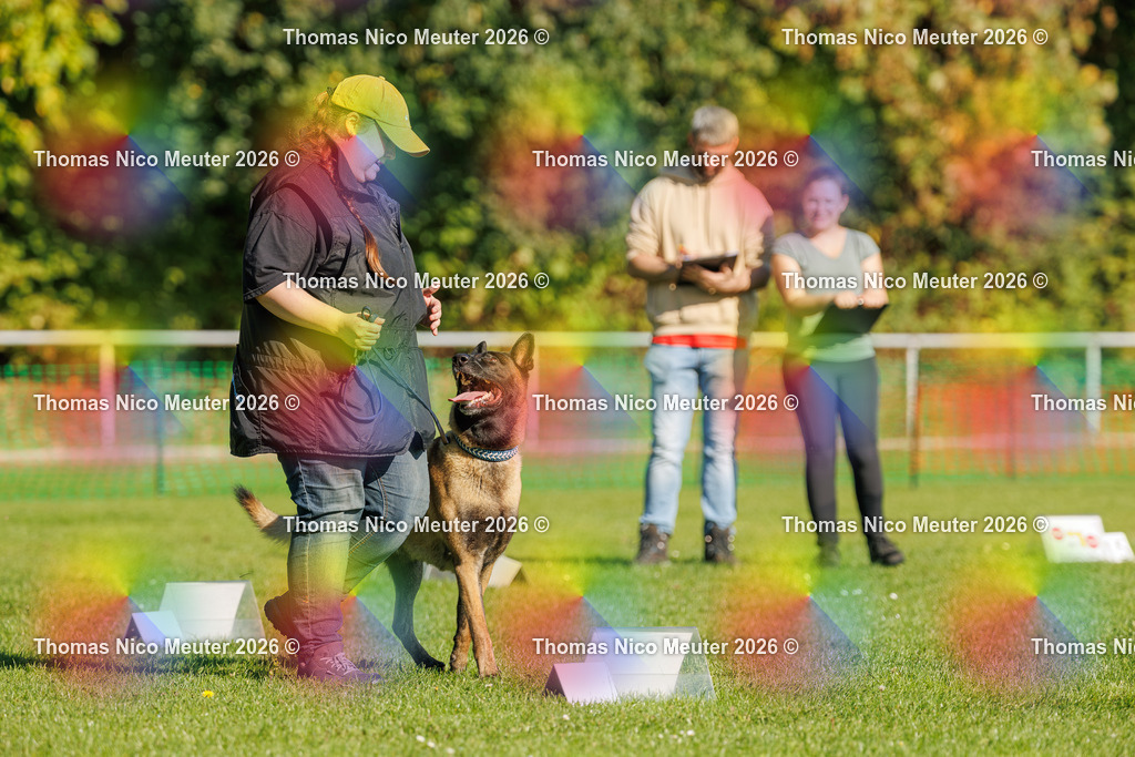 Thomas_Nico_Meuter(C)_04. Oktober 2026_223A1467 | Bild von Thomas Nico Meuter - Realisiert mit Pictrs.com