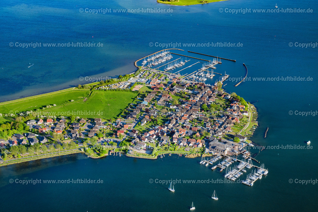 Maasholm_ELS_2842170524 | MAASHOLM 01.05.2024 Ortsansicht mit den Segelhäfen am Ufer der Schlei nähe der Meeres-Küste der Ostsee in Maasholm im Bundesland Schleswig-Holstein. Weiterführende Informationen bei: Christoph Winter,  Ostseefjord Schlei GmbH. // Town view with the sailing ports on the seashore of the Baltic Sea in Maasholm in the state of Schleswig-Holstein. Further information at: Christoph Winter,  Ostseefjord Schlei GmbH. Foto: Martin Elsen