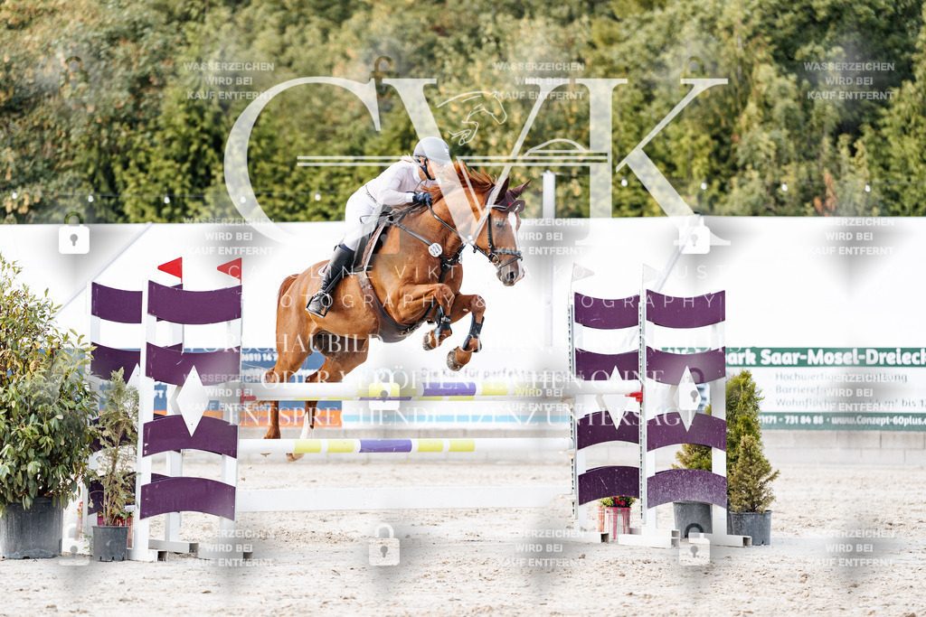 CK903950 | Turnierfotografie Pferdefotografie Trier Rheinland-Pfalz Pferdesport Reitsport Tierfotografie Sportfotografie Pferdevideo Pferdevideografie Equestrianvideography equestrianphotography  - Realisiert mit Pictrs.com