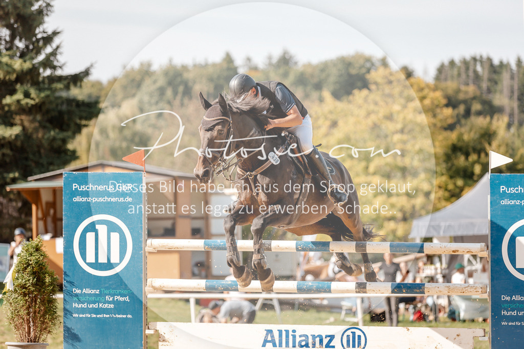 3I6A4695 | Stimmungsvolle Portraits und Reitsportfotografie im Ruhrgebiet und im Münsterland.

Pferdefotografie, Hundefotografie, Tierfotografie, Reportagen, Portraits von Tier und Mensch, Turnierfotografie in Bochum, Recklinghausen, Marl, Haltern am See, Dülmen.. - Realisiert mit Pictrs.com