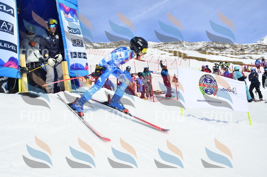 _ELE1894 | holidayphoto