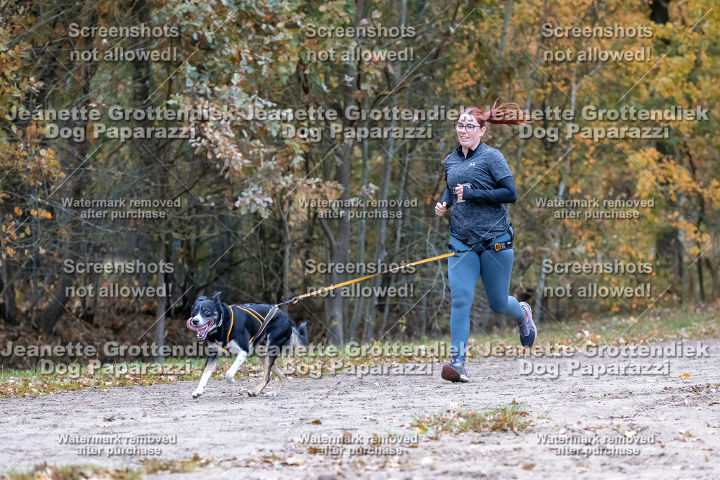 Dog Paparazzi - SD CaniX Championship 2025-344 | Dog Paparazzi Jeanette Grottendiek Fotografie & Videografie - Realisiert mit Pictrs.com