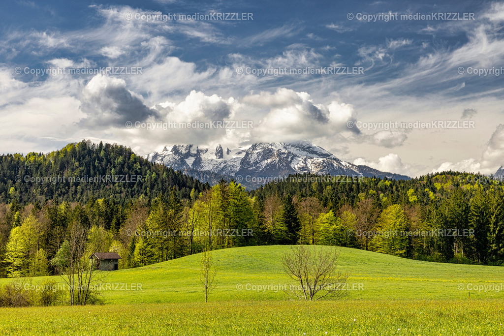 _J3A8895 | medienkrizzler - Realisiert mit Pictrs.com