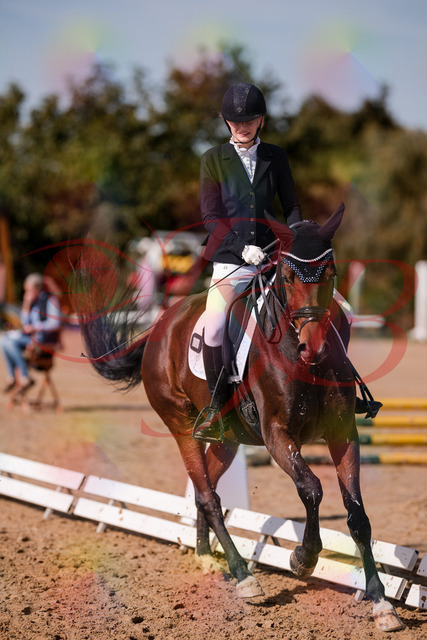 2026_10_03_Siefer-Hof_125801_Z81_47586899 | Professionelle Reitsport-, Turnier- und Eventfotografie von Robert Broda. Galerien mit ausgewählten und bearbeiteten Bildern direkt online ansehen und bestellen.