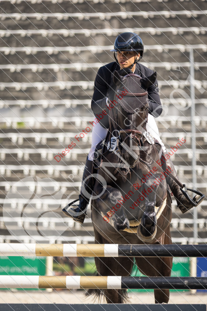 IMG_3993 | Sport-, Event- und Tierfotos in Profiqualität. Einfach auswählen, bestellen und herunterladen. Dein Moment – perfekt festgehalten.