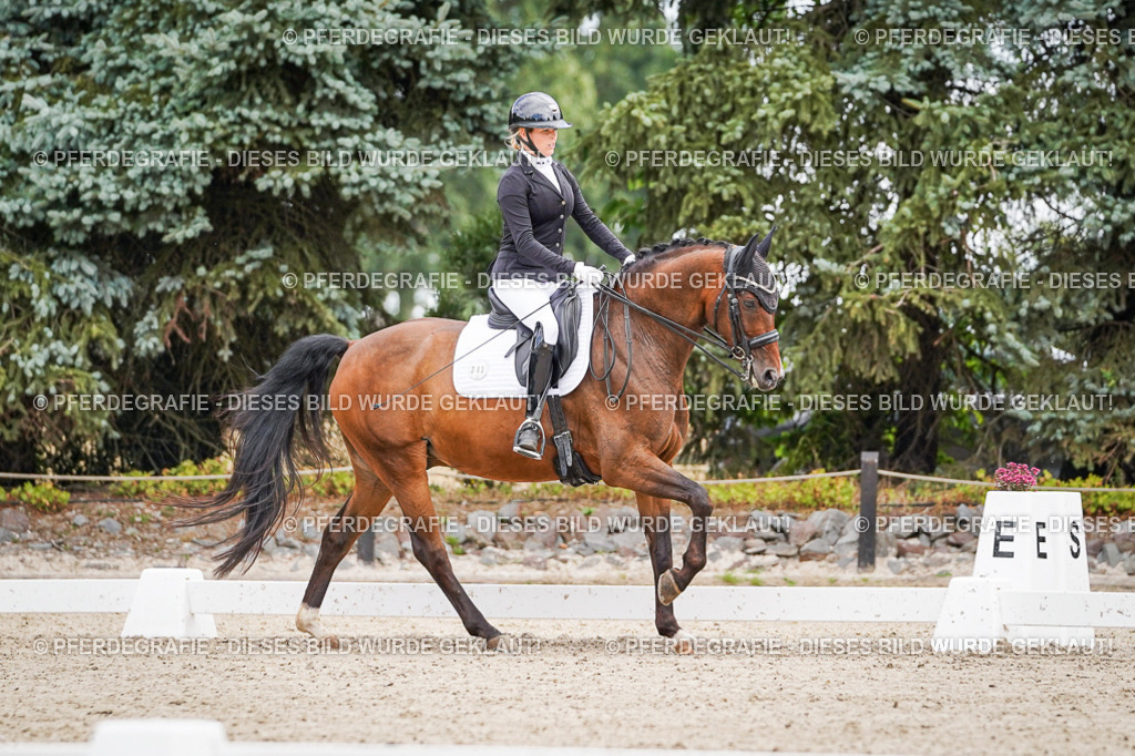 DSC02650 | Pferdegrafie