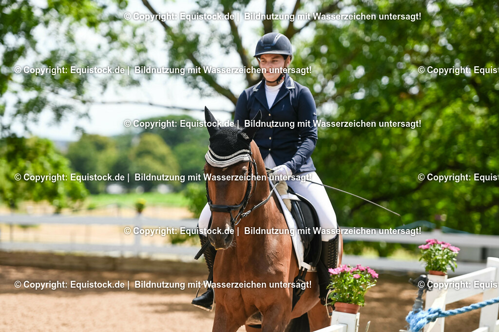 20230716_03_Dressurprfg. Kl.L - Tr._0678 | equistock