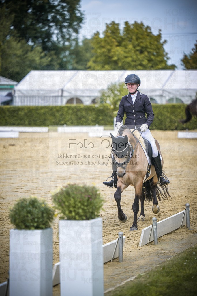 DOS_0497 | Entdecke hochwertige Reitturnierfotos von Foto Oger. Professionell, emotional und authentisch – jetzt Lieblingsmomente im Shop bestellen.Deutschlandweite Turnierfotografie. - Realisiert mit Pictrs.com