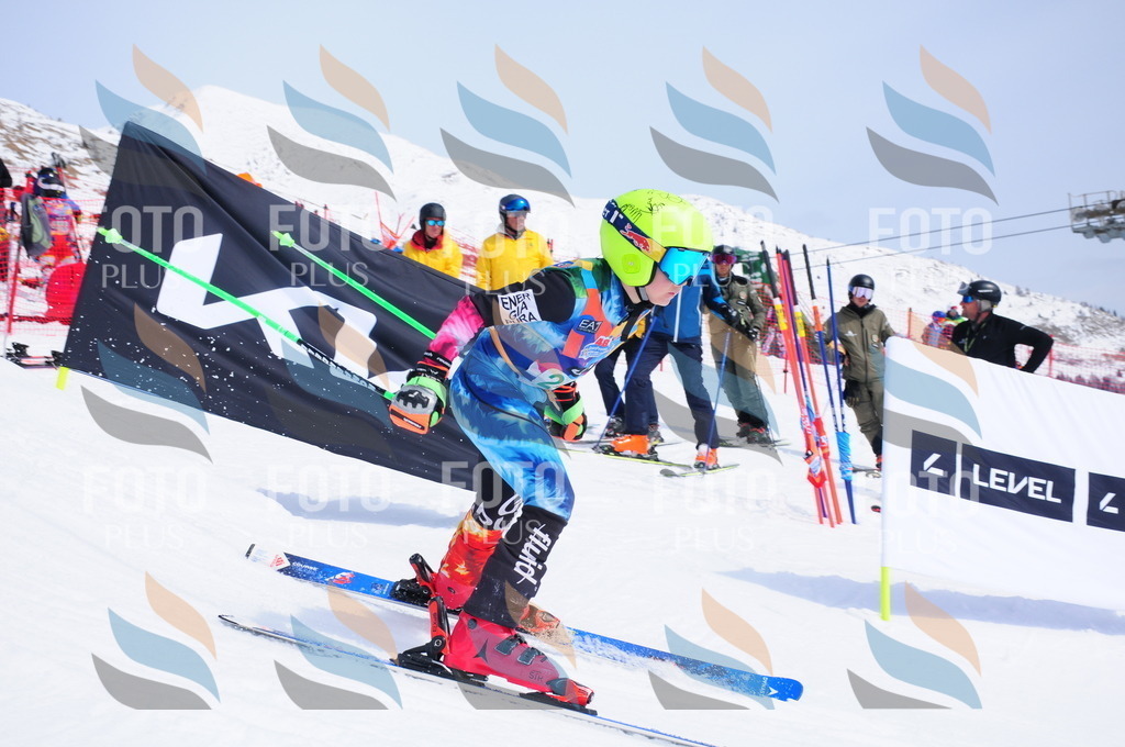 DSC_2339 | holidayphoto