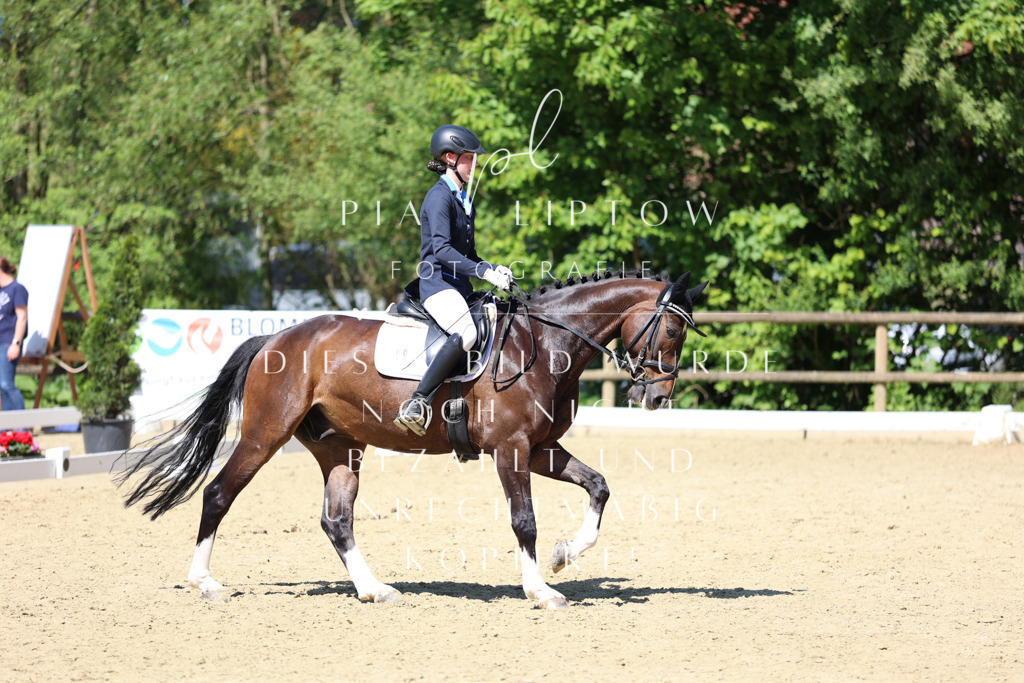 IMGS3700 | pl-fotografie