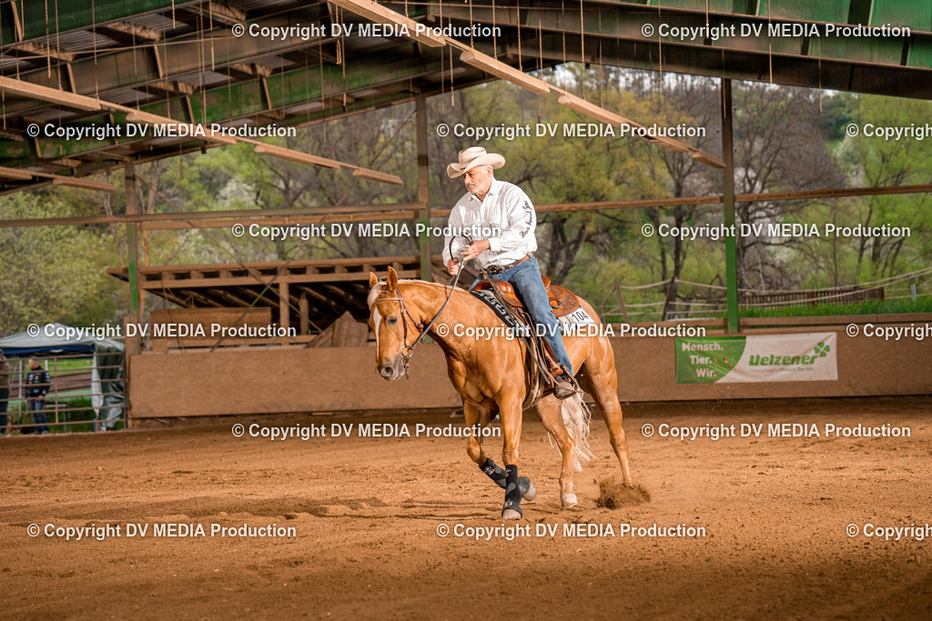 BA301275 | dv-media-shop - Realisiert mit Pictrs.com