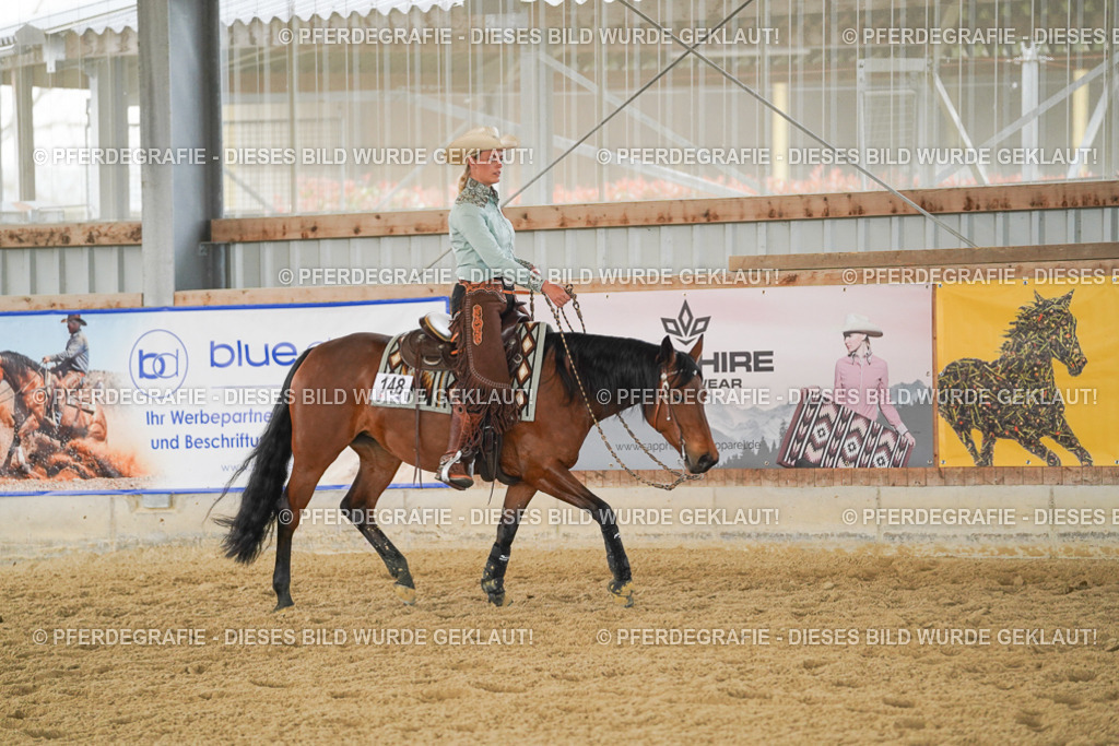 DSC05410 | Pferdegrafie