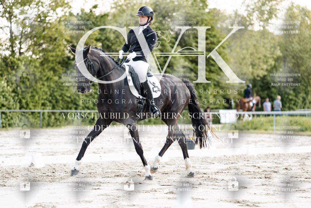 CK909389 | Turnierfotografie Pferdefotografie Trier Rheinland-Pfalz Pferdesport Reitsport Tierfotografie Sportfotografie Pferdevideo Pferdevideografie Equestrianvideography equestrianphotography  - Realisiert mit Pictrs.com