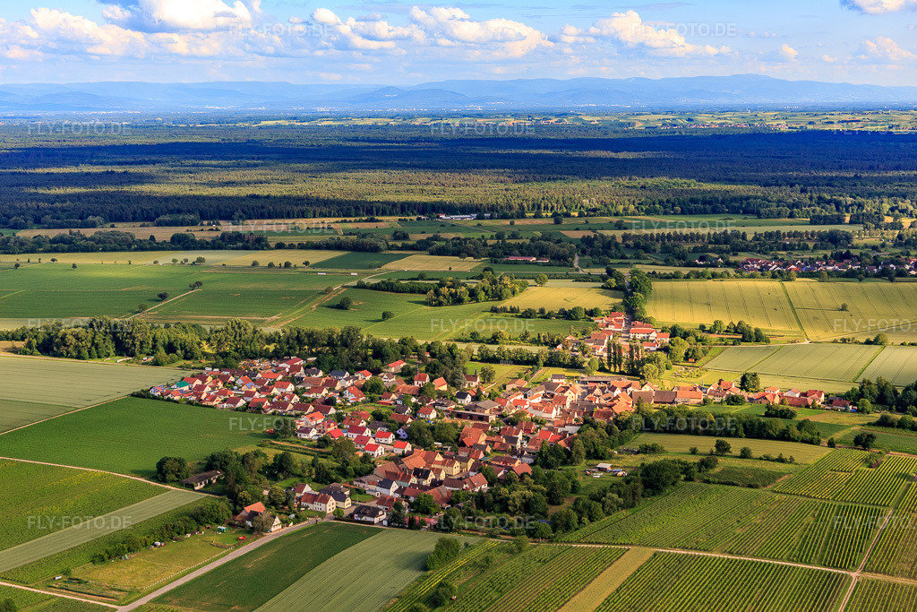Luftbild: Ortsansicht von Nordosten in Niederotterbach im Bundesland Rheinland-Pfalz in Deutschland. Foto: IMG_115374.jpg vom 16.06.2019 durch Werner Riehm/FLY-FOTO.de
