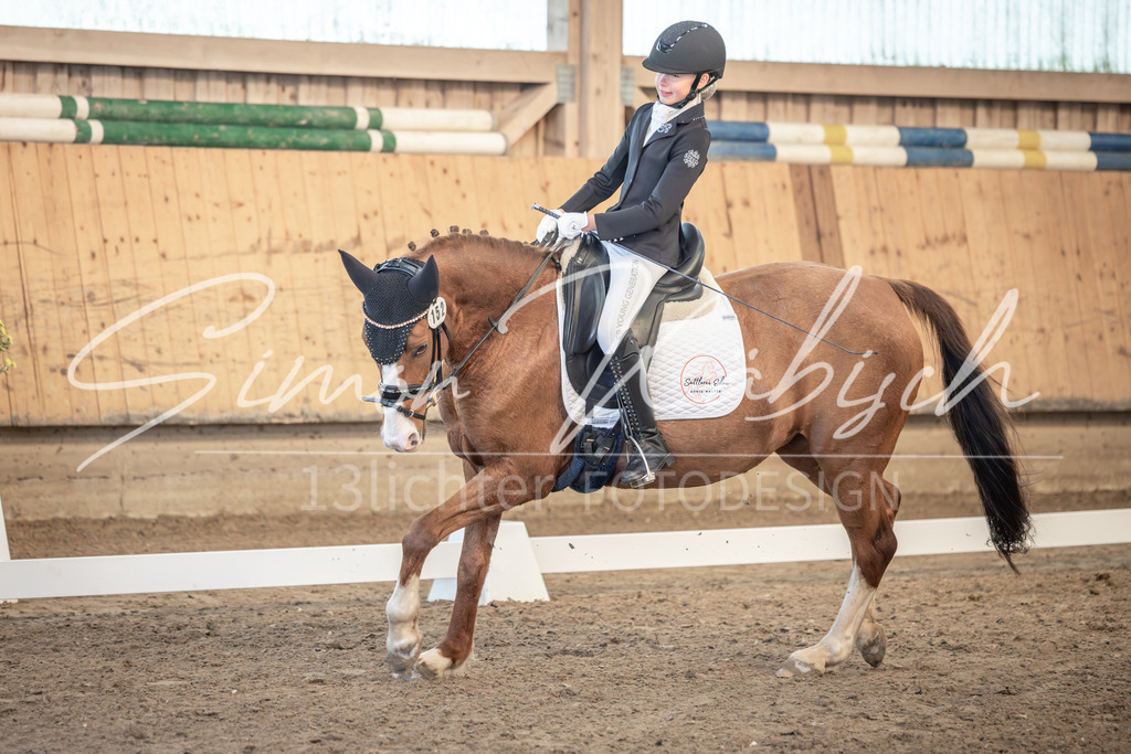 20251011-_3LI6953 | Tierfotografie Pferde, Hunde, Katzen, Haustiere.
Turnierfotografie Reitturniere, Reiten, Springreiten, Dressur in Hanau, dem Main-Kinzig-Kreis und dem Rhein-Main- Gebiet um Frankfurt