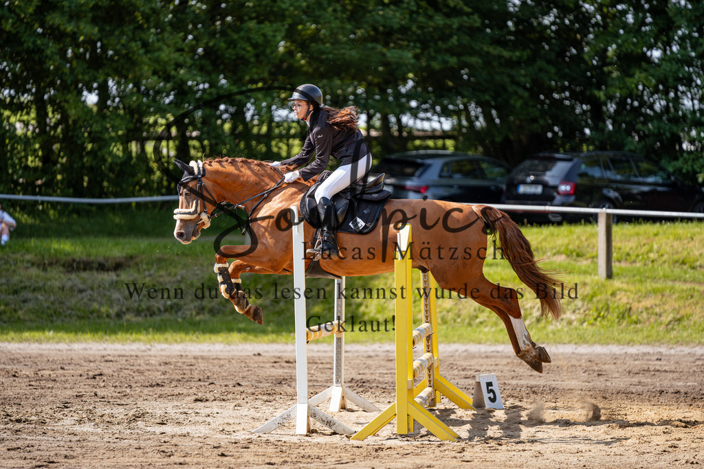 A7507342 | Turnier/Reitfotograf