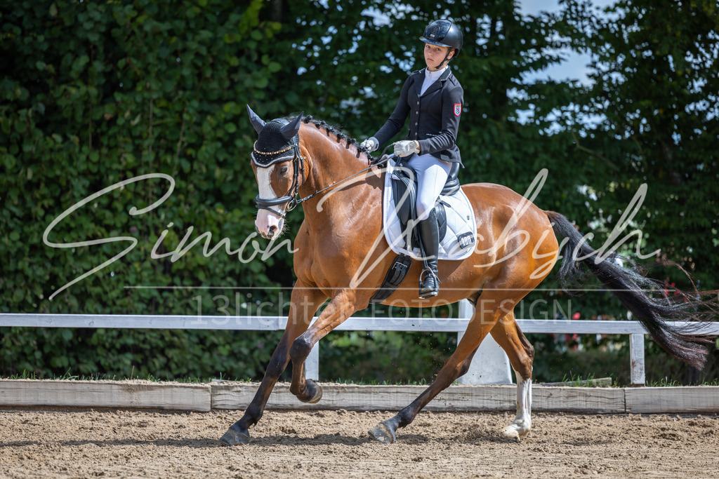 20260905-_3LI7966 | Tierfotografie Pferde, Hunde, Katzen, Haustiere.
Turnierfotografie Reitturniere, Reiten, Springreiten, Dressur in Hanau, dem Main-Kinzig-Kreis und dem Rhein-Main- Gebiet um Frankfurt
