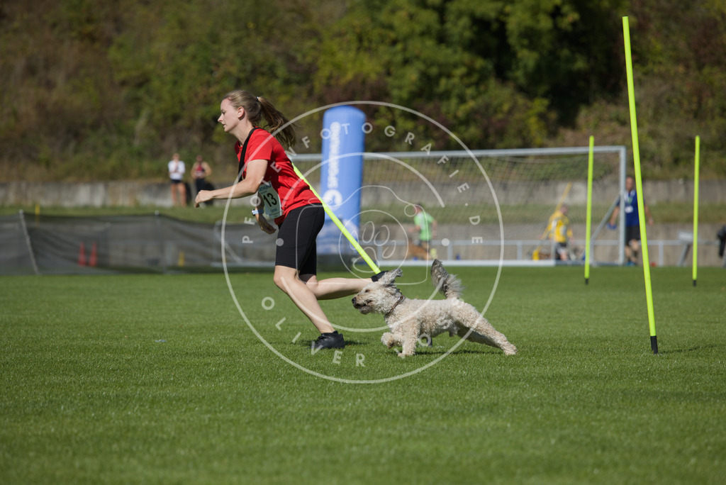 0L8A5882 | Hundefotografie, Tierfotograf, Pfotenfotografie, Fotoshooting Hund, Hunde Portrait, Hundesport, Hundeportraits, Heideshooting, Hunde, Sportfotograf, Hundefotograf, Turnierhundsport, THS,  - Realisiert mit Pictrs.com