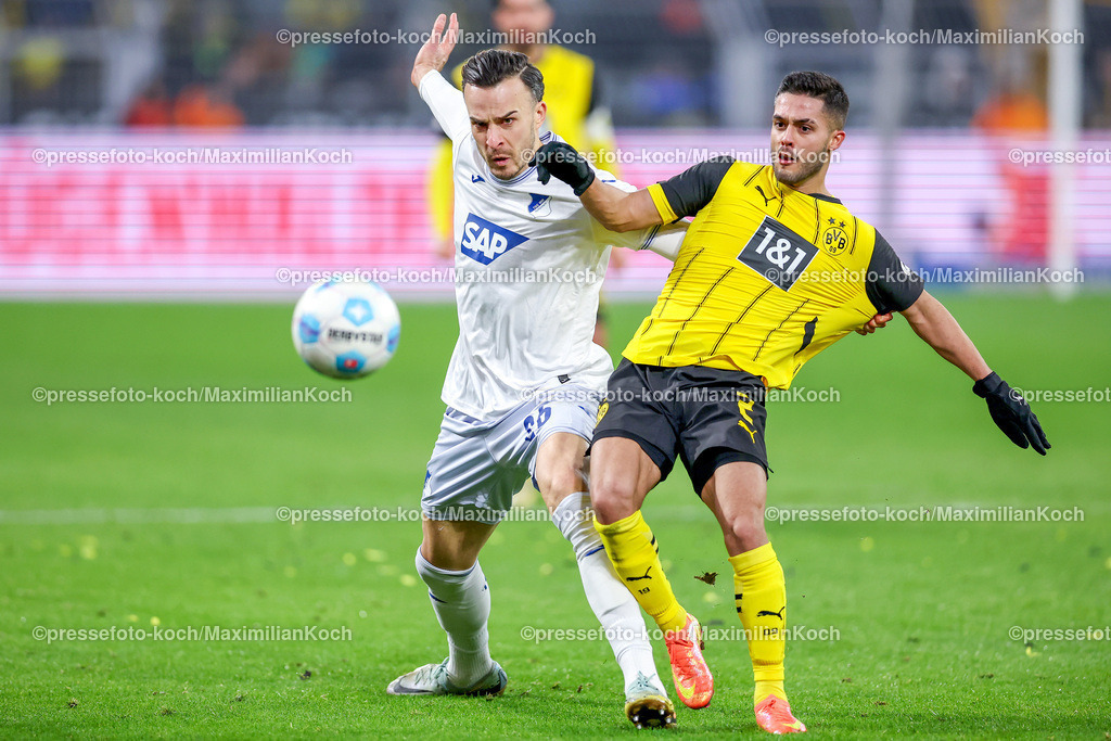 BVB15122401069 | 15.12.2024, Fußball, Borussia Dortmund - TSG 1899 Hoffenheim, 1. Fußball Bundesliga, 14. Spieltag, Signal Iduna Park, Saison 2024 2025: Haris Tabakovic (Hoffenheim #26) im Zweikampf gegen Yan Couto (BVB #2)DFB regulations prohibit any use of photographs as image sequences and or quasi-video.