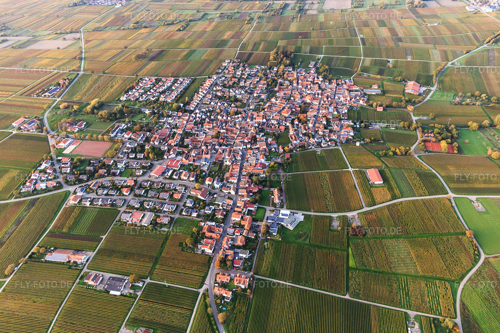 Luftbild: Winzerdorfübersicht aus Süden umgeben von Weinbergen in Herbstfarben im Ortsteil Nußdorf in Landau im Bundesland Rheinland-Pfalz in Deutschland.Foto: IMG_135142.jpg vom 22.10.2022 durch Werner Riehm/FLY-FOTO.deAuflösung des Originals: 5472 x 3648 px