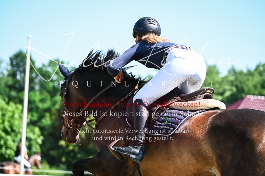 DSC_1312 | Pferde- und Turnierfotografie in Westsachsen. Pferdeportraits, Auftragszeichnungen und intuitive Kunst.