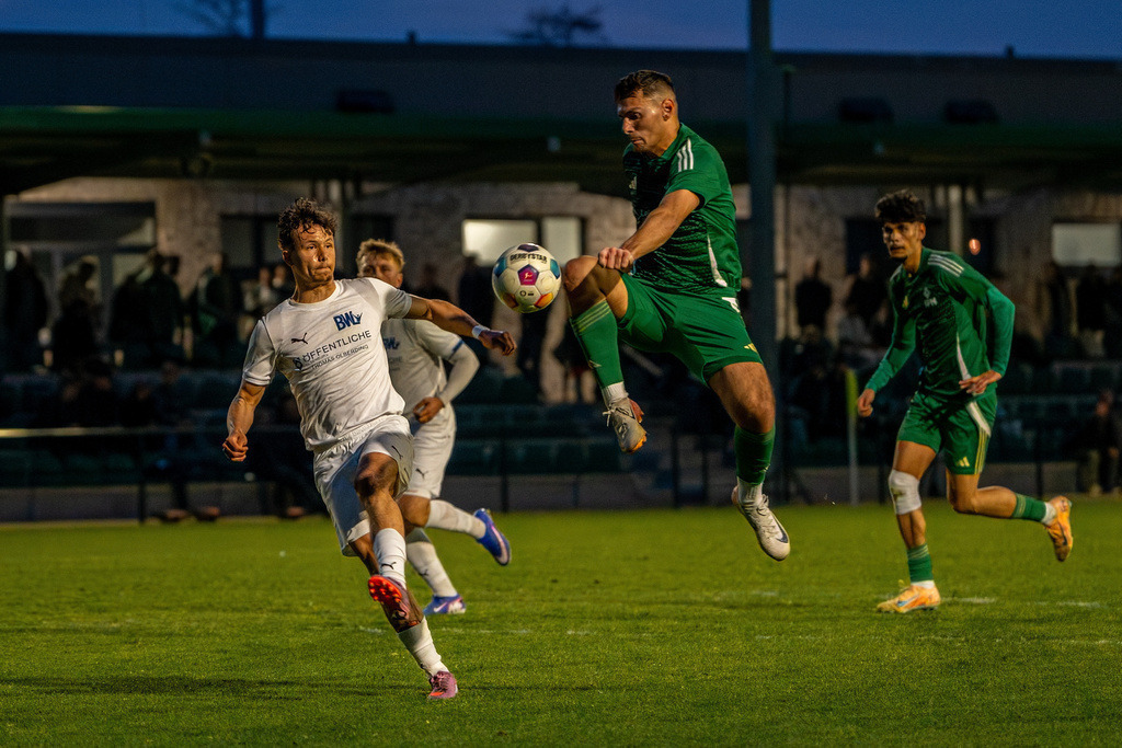 Fußball I Herren I Saison 2025-2026 I Landesliga Weser-Ems I 23. Spieltag I SFN Vechta - BW Lohne II I 01268A | jns.sportfotos - Realisiert mit Pictrs.com