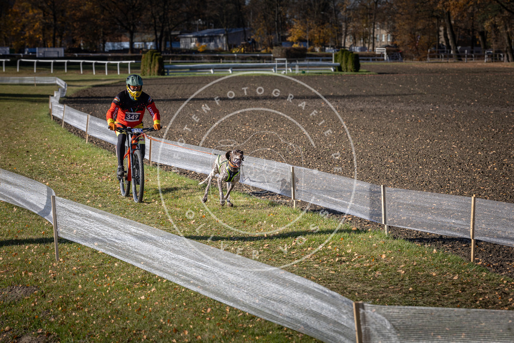 CaniXpix_DV3A7107 | Hundefotografie, Tierfotograf, Pfotenfotografie, Fotoshooting Hund, Hunde Portrait, Hundesport, Hundeportraits, Heideshooting, Hunde, Sportfotograf, Hundefotograf, Turnierhundsport, THS,  - Realisiert mit Pictrs.com