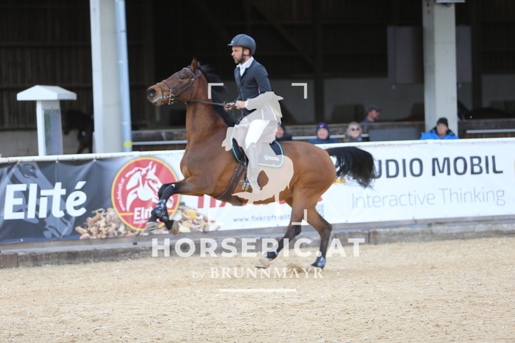 DL2Q9507 | Willkommen bei Brunnmayr - Design & Fotografie – Ihrem Spezialisten für Reitturniere und Pferdeveranstaltungen in Oberösterreich, Salzburg und Bayern! Seit über 17 Jahren sind wir leidenschaftlich dabei.