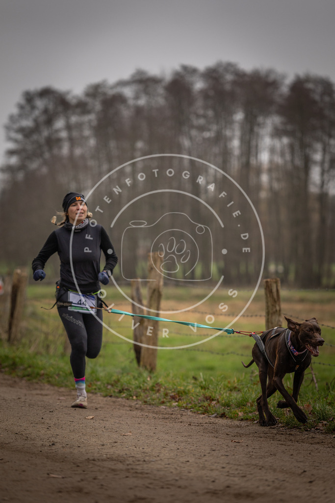 Pfotenfotografie_DV3A2710 | Hundefotografie, Tierfotograf, Pfotenfotografie, Fotoshooting Hund, Hunde Portrait, Hundesport, Hundeportraits, Heideshooting, Hunde, Sportfotograf, Hundefotograf, Turnierhundsport, THS,  - Realisiert mit Pictrs.com