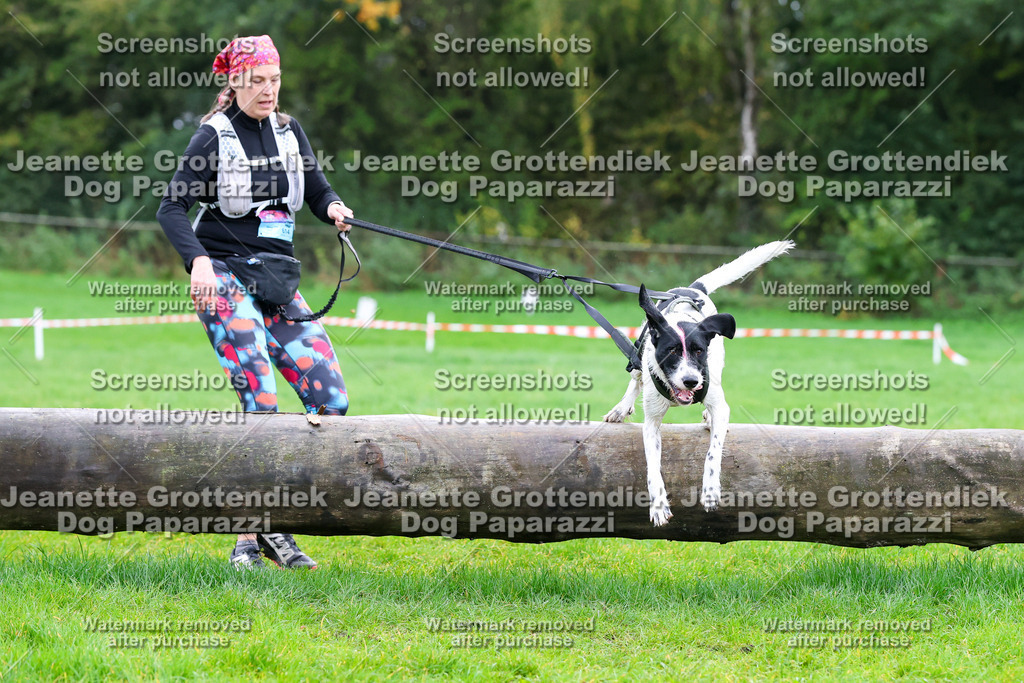 Dog Paparazzi -  SD1026-1071 | Dog Paparazzi Jeanette Grottendiek Fotografie & Videografie - Realisiert mit Pictrs.com