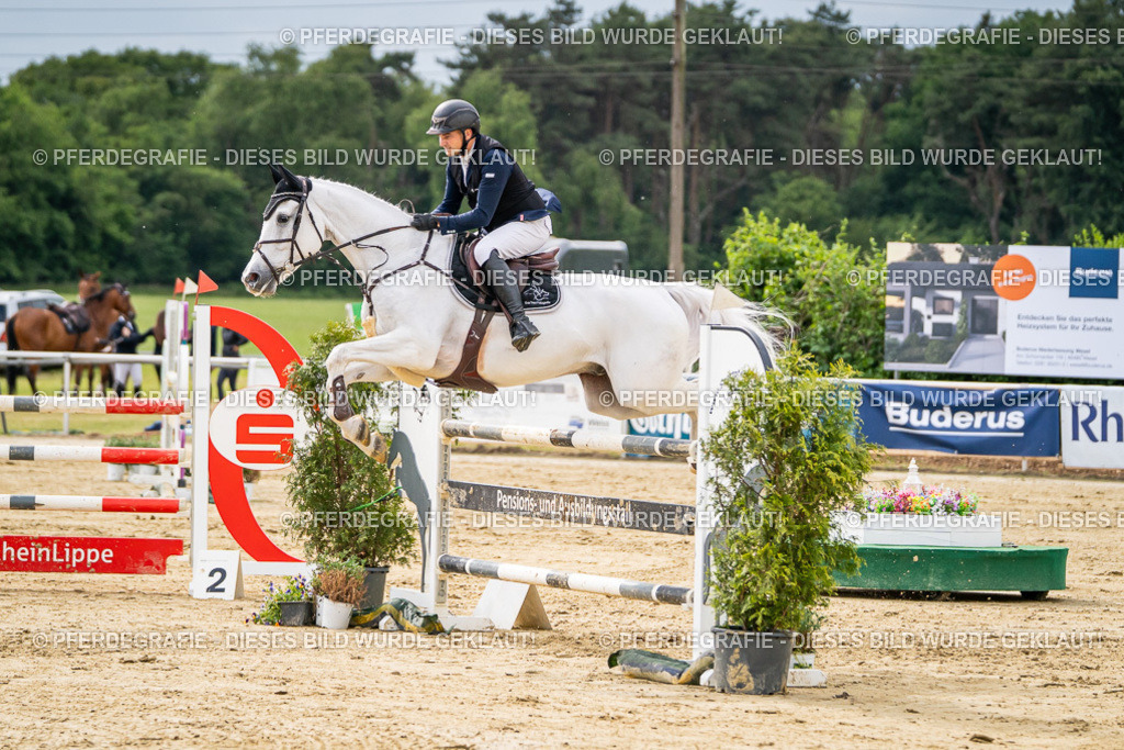 DSC06448 | Pferdegrafie