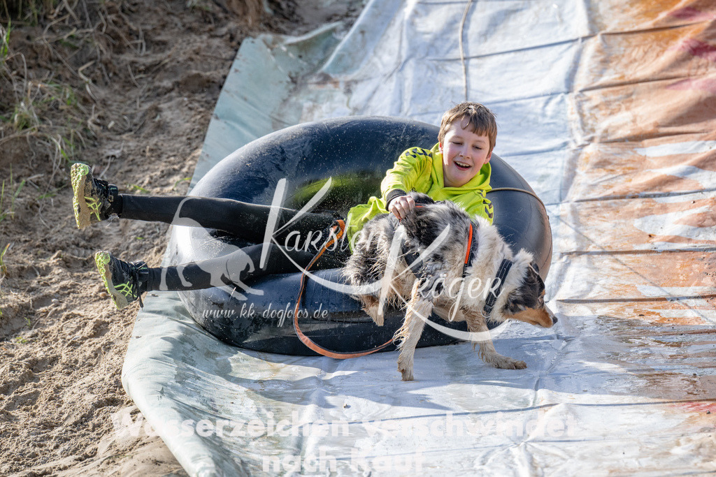 1519_ZZ92483 | kk-dogfotos