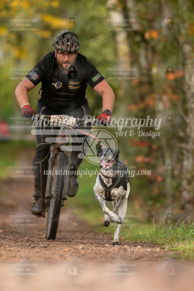 TSB_2023_E4_Bike-51 | PayLife