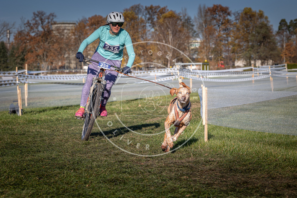 CaniXpix_0L8A4798 | Hundefotografie, Tierfotograf, Pfotenfotografie, Fotoshooting Hund, Hunde Portrait, Hundesport, Hundeportraits, Heideshooting, Hunde, Sportfotograf, Hundefotograf, Turnierhundsport, THS,  - Realisiert mit Pictrs.com