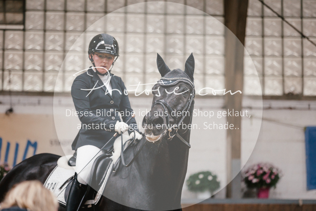 3I6A6333 | Stimmungsvolle Portraits und Reitsportfotografie im Ruhrgebiet und im Münsterland.

Pferdefotografie, Hundefotografie, Tierfotografie, Reportagen, Portraits von Tier und Mensch, Turnierfotografie in Bochum, Recklinghausen, Marl, Haltern am See, Dülmen.. - Realisiert mit Pictrs.com