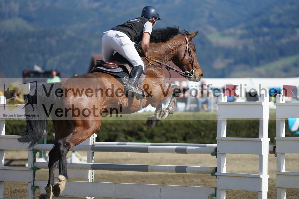 DSC03301 | equestrian-live-com