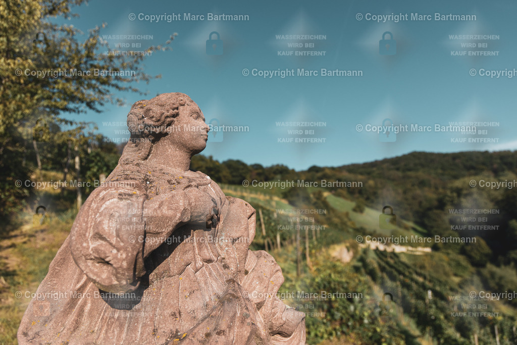 EOSR0450 | Marc Bartmann - Fotografie Schriesheim - Realisiert mit Pictrs.com