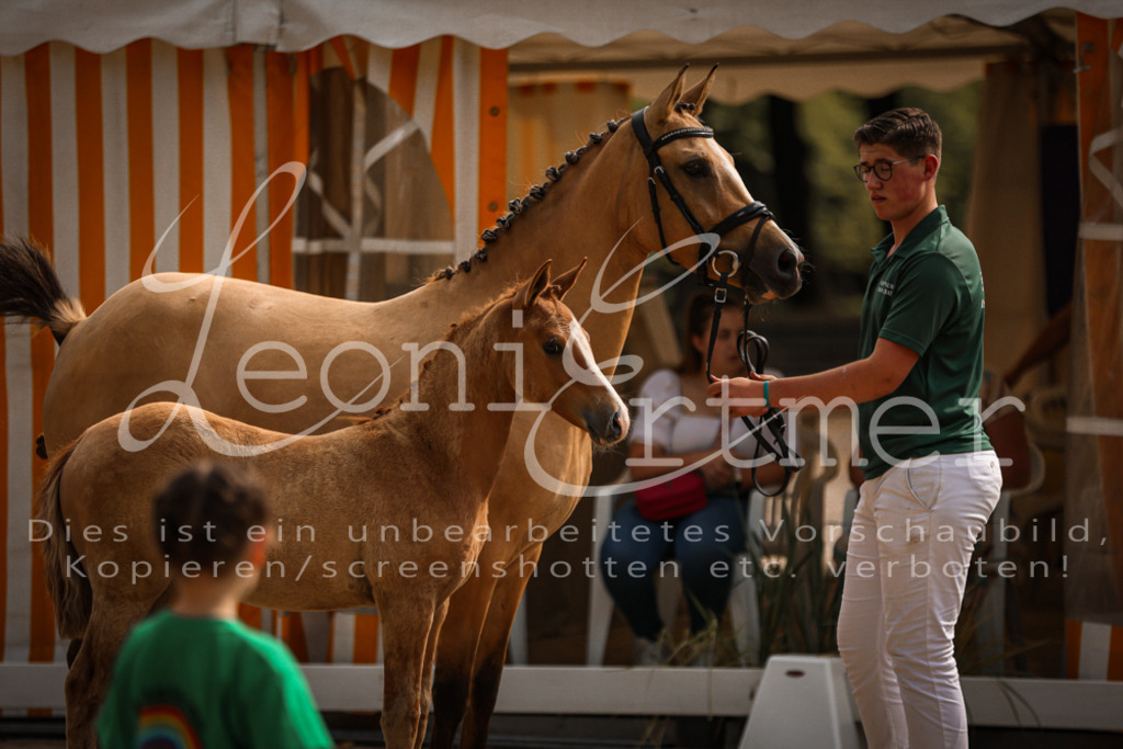 10.DoRP00106 | Leoni Ertmer Photography - Realisiert mit Pictrs.com