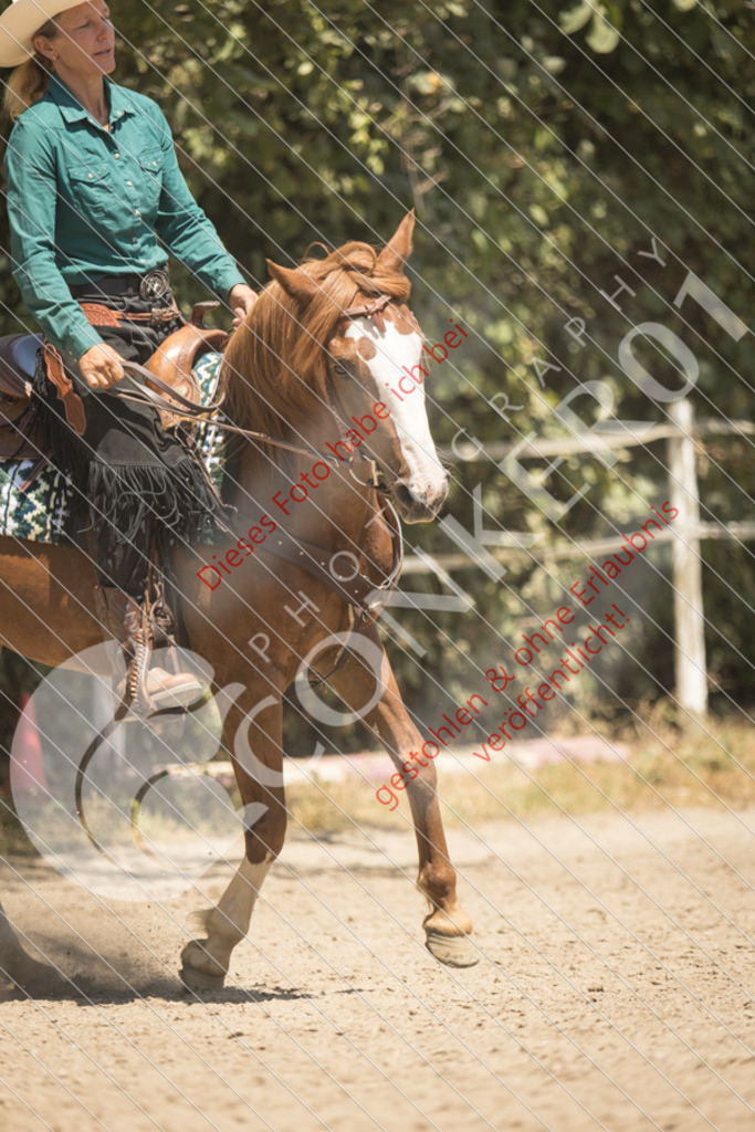 IMG_0111 | Sport-, Event- und Tierfotos in Profiqualität. Einfach auswählen, bestellen und herunterladen. Dein Moment – perfekt festgehalten.