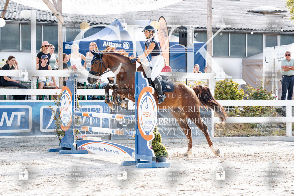CK906066 | Turnierfotografie Pferdefotografie Trier Rheinland-Pfalz Pferdesport Reitsport Tierfotografie Sportfotografie Pferdevideo Pferdevideografie Equestrianvideography equestrianphotography  - Realisiert mit Pictrs.com