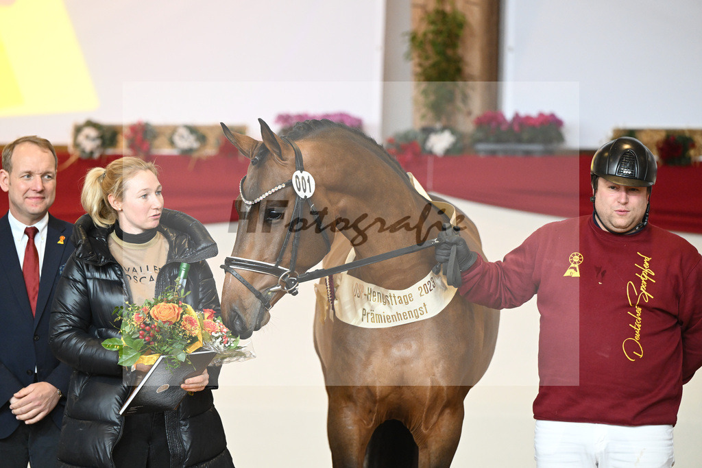 Kat-Nr. 1 Alaba_Wilbers_1231666 | hf-fotografie - Realizzato con Pictrs.com